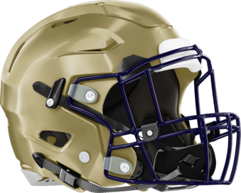 Tattnall County Helmet