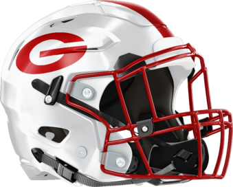 Gainesville Red Elephants Helmet