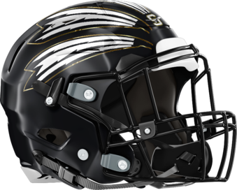 Skipstone Academy Helmet