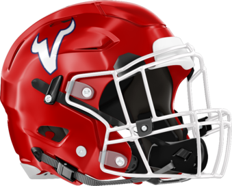 St. Anne-Pacelli Vikings Helmet