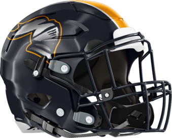 Valwood School Helmet