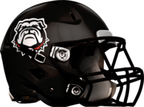 Mt. Zion Jonesboro High Helmet Right