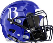 Brookstone Cougars Helmet