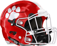 Rabun County Wildcats Helmet Right