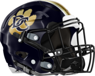 Douglas County Helmet