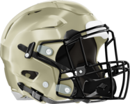 Pelham Helmet