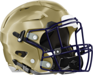 Tattnall County Helmet