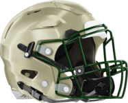 Terrell County Helmet