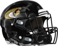 Twiggs County Helmet