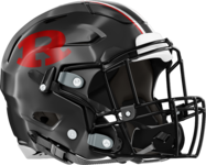 Warner Robins Helmet