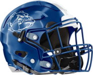 Washington Helmet