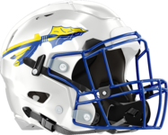 Wilkinson County Helmet