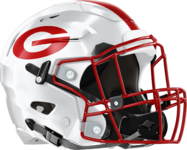 Gainesville Red Elephants Helmet