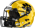 Valdosta Wildcats Helmet