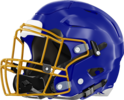 Brunswick Helmet