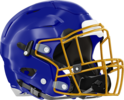 Brunswick Helmet