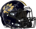 Douglas County Helmet