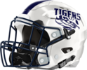 Bradwell Institute Helmet