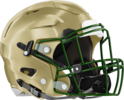 Bulloch Academy Helmet