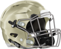 Dooly County Helmet