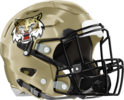 Flint River Academy Wildcats Helmet