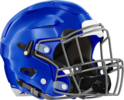 Locust Grove Helmet