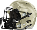 Pelham Helmet