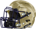 Tattnall County Helmet