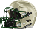 Terrell County Helmet