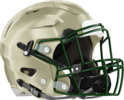 Terrell County Helmet