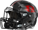 Warner Robins Helmet