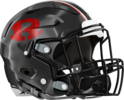 Warner Robins Helmet