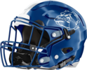 Washington Helmet