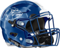 Washington Helmet