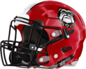 Wheeler County Helmet