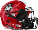 Wheeler County Helmet