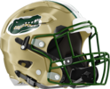 Bulloch Academy Gators Helmet