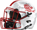 Gainesville Red Elephants Helmet