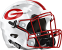 Gainesville Red Elephants Helmet