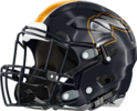 Valwood School Helmet