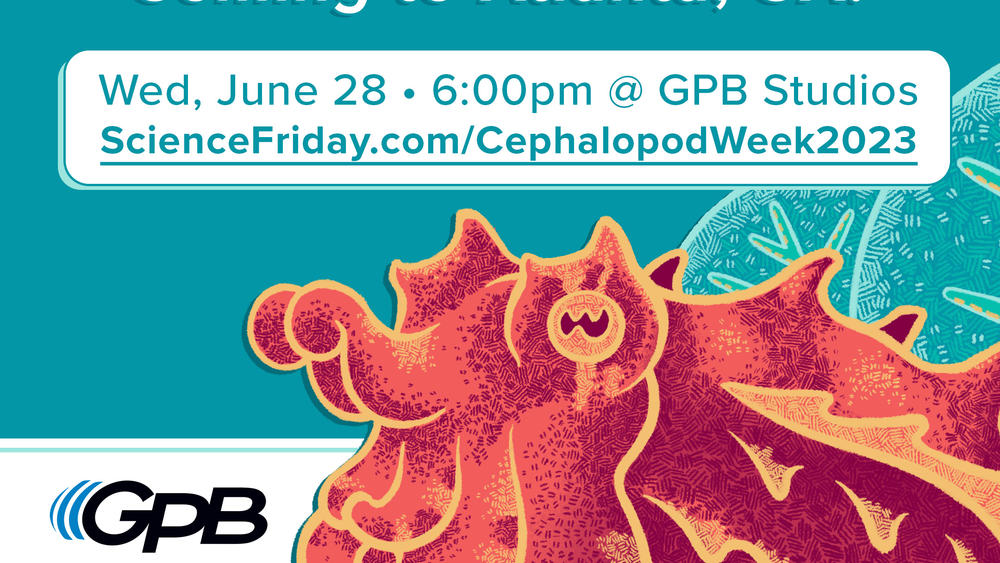 Cephalopod Week Public Broadcasting