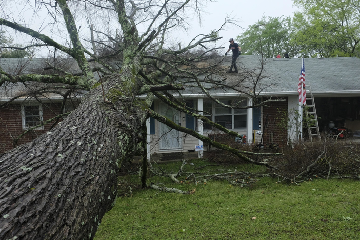 A house damaged by a tree following Tuesday's storms.