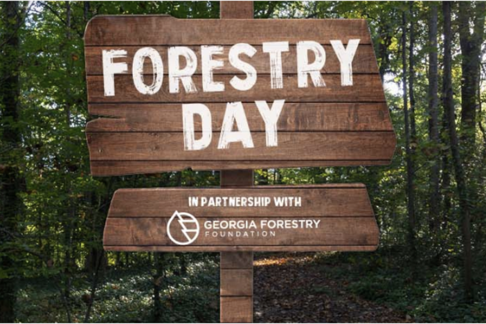 Forestry Day at Fernbank