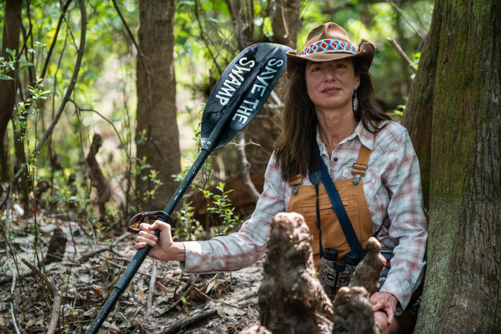 Okefenokee Song Released To Raise Awareness Of Mining Threat   Renasaveswampcypressknees Scaled 0 