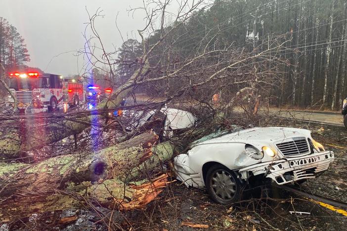 A car is shown smashed by a fallen tree.