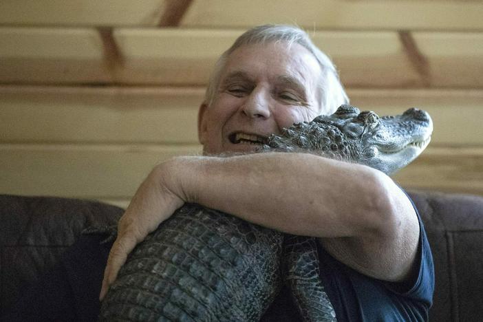 Joie Henney hugs his emotional support alligator named Wally, Jan. 22, 2019, inside their home in York Haven, Pa. Henney credits Wally for helping relieve his depression for nearly a decade, says he's searching for the reptile after it went missing during a vacation to the coast of Georgia. 