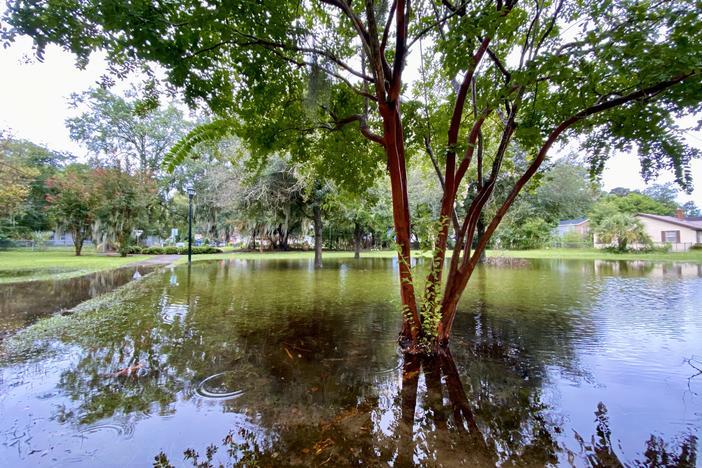 A park in Savannah's Bingville neighborhood sits flooded on Aug. 7, 2024, from Tropical Storm Debby.