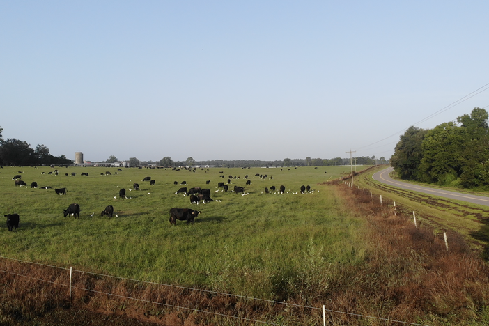 Grady Ranch Farms