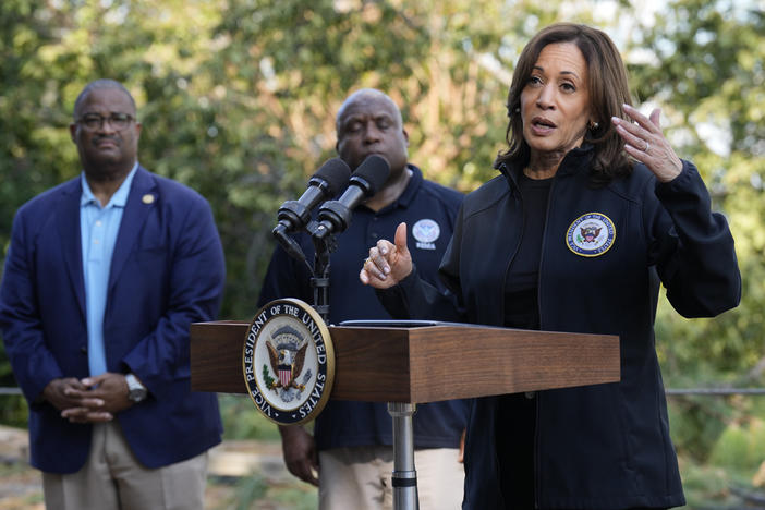 Democratic presidential nominee Vice President Kamala Harris speaks as she tours an area impacted by Hurricane Helene in Augusta, Ga., Wednesday, Oct. 2, 2024, as Augusta Mayor Garnett Johnson, left, and FEMA deputy administrator Erik Hooks listen.