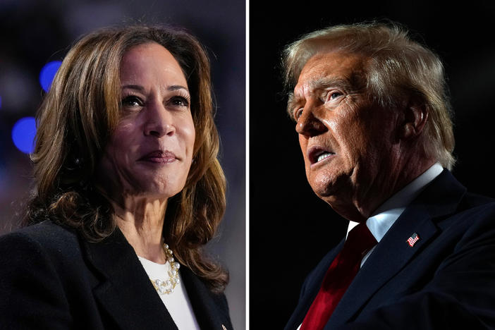 This combination of photos shows Democratic presidential nominee Vice President Kamala Harris, left, speaking during a rally in Charlotte, N.C., Sept. 12, 2024, and Republican presidential nominee former President Donald Trump, right, speaking during a rally in Warren, Mich., Nov. 1, 2024. 